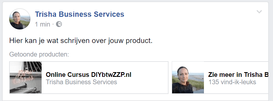 fb-dienst-15