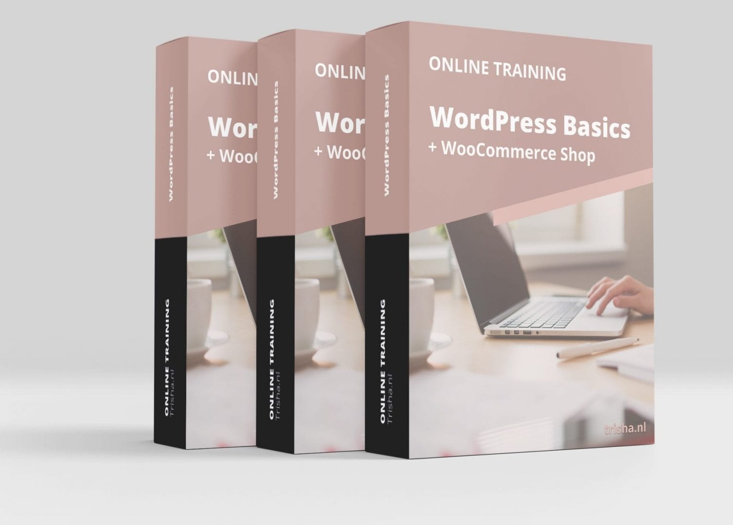 box-wordpress-basics-training